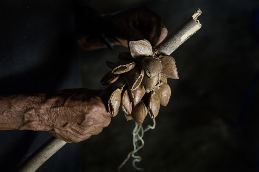 Quintina Valero 6 Quintina Valero 5