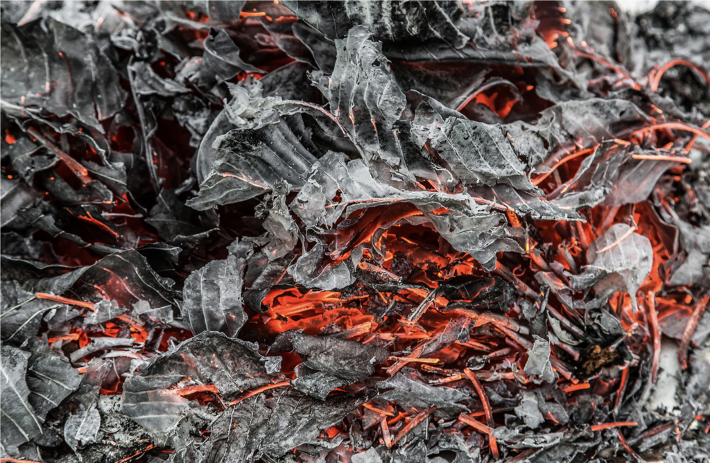 Quintina Valero 4 Quintina Valero 3