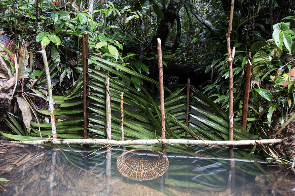 Quintina Valero 18 Quintina Valero 17