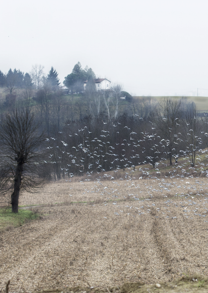 Quintina Valero 12 Quintina Valero 11