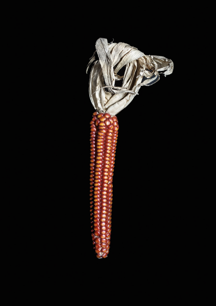 Quintina Valero 10 Quintina Valero 9